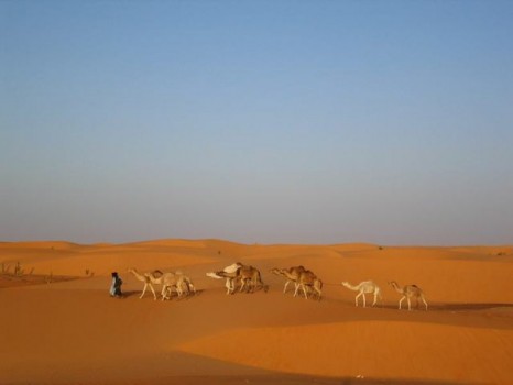 tour mauritania