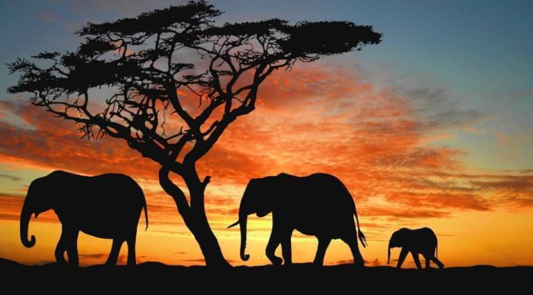 https://www.iviaggidigiorgio.it/wp-content/uploads/2018/11/nambia-768x426.png