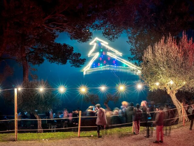 LUCI SUL TRASIMENO ALBERO PIU’ GRANDE SULL’ACQUA ORVIETO-C.PIEVE