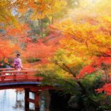 Giappone-Foliage