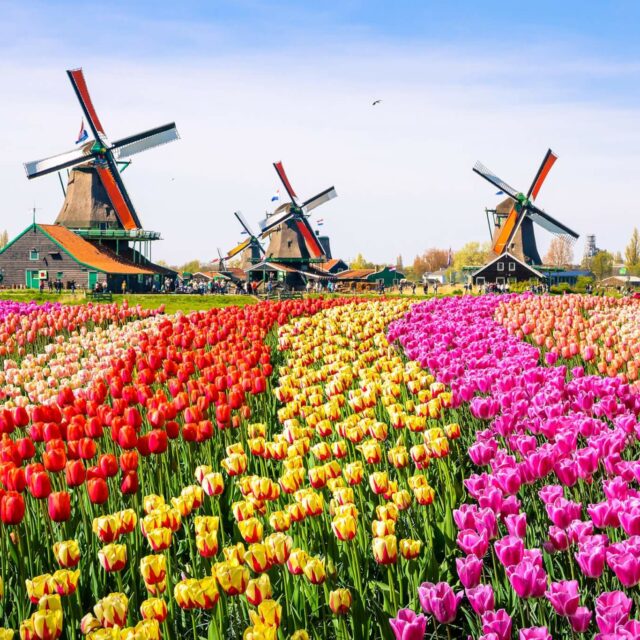 destination-netherlands-01