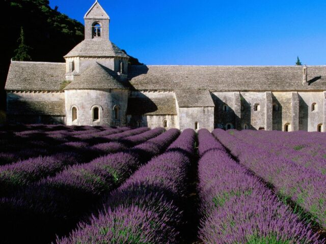 lavanda03-donnacreativa.net_