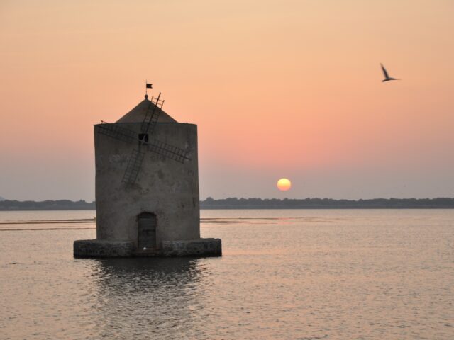 VIAGGIO TRA  CULTURA E NATURA: LA MAREMMA DEL SUD